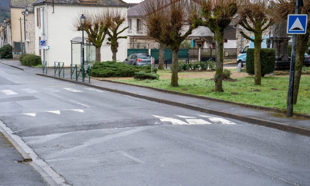 400 000 dos d'âne illégaux : quand le Conseil d'État exigera leur destruction ?