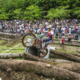 Bou Domine alors que le TrialGP Atteint son Tournant Décisif à Calvi