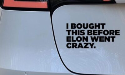 Elon Musk et Tesla: l'expert dévoile les dégâts que personne n'osait mentionner