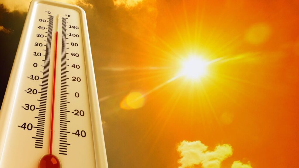 Canicule : les astuces économiques pour survivre à la chaleur estivale