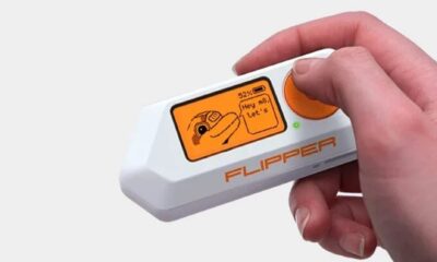 Flipper Zero : l'outil préféré des voleurs de voitures high-tech