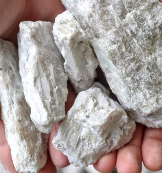 La Chine ferme une mine majeure de lithium, provoquant la panique des marchés