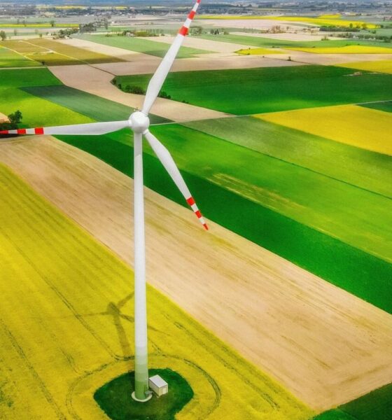 Les énergies renouvelables vont dépasser le charbon comme source électrique mondiale