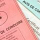 Radars : cette app sauve vos points sur votre permis de conduire