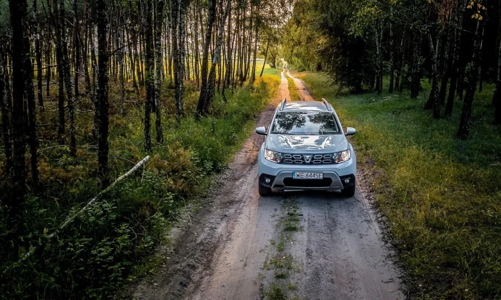 Dacia Duster d'occasion de couleur bleu