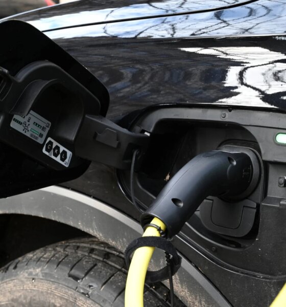 Les voitures électriques d'occasion: une attraction massive pour les entreprises