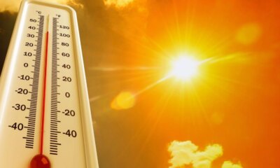 Canicule : 8 techniques efficaces pour rester au frais sans climatiseur