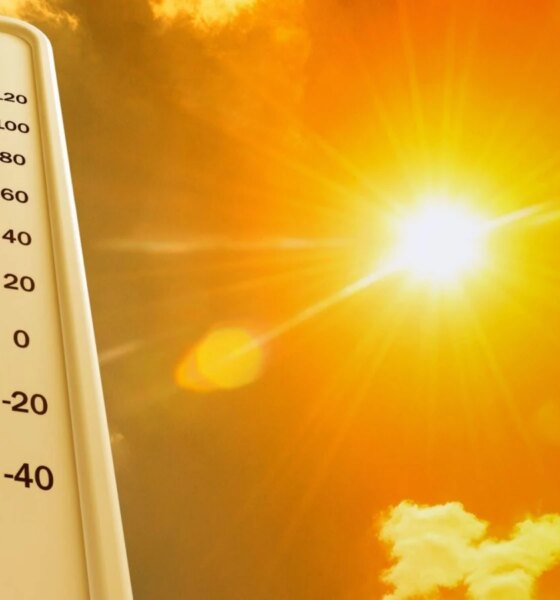 Canicule : 8 techniques efficaces pour rester au frais sans climatiseur