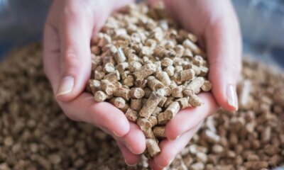 Économies chauffage : la solution idéale adoptée par des millions de Français
