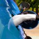Copropriété : le droit méconnu pour installer une prise de recharge électrique