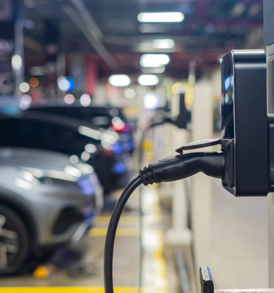 Flottes publiques : l'électrique bientôt obligatoire pour l'État