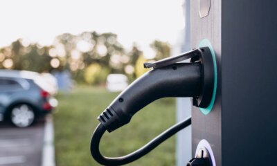 Bluebus : Bolloré arrête ses bus électriques après près de 700 exemplaires